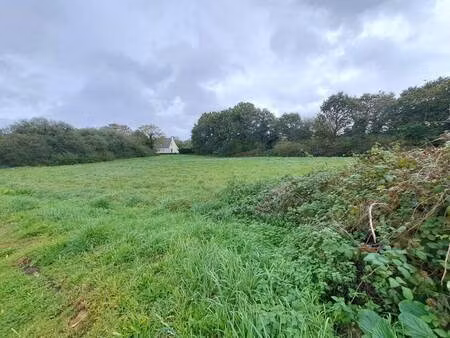terrain constructible viabilisé à vendre