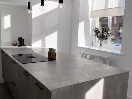appartement 2 chambres avec petit jardin