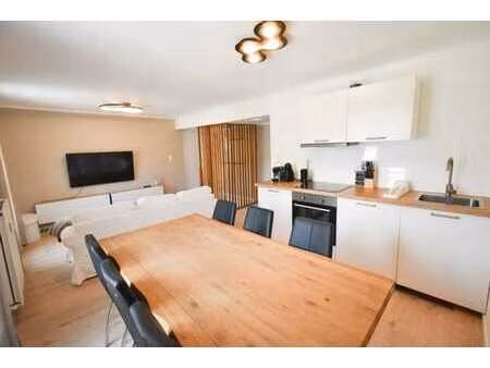 duplex renove - centre spa - terrasse rooftop - elec ok