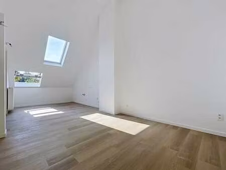 magnifique appartement rénové trois chambres - quartier pala