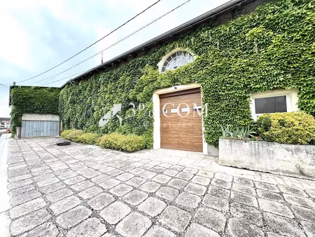 vente maison 12 pièces 300 m² à luneville (54300)  505 000 €