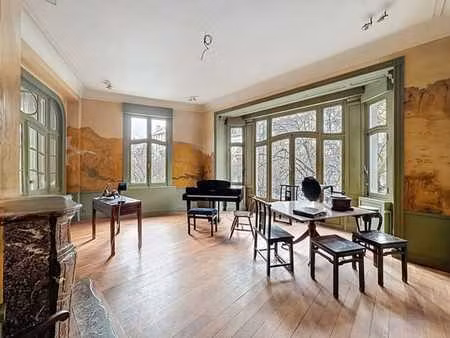 plasky  maison de maître ± 613m² + garage + jardin