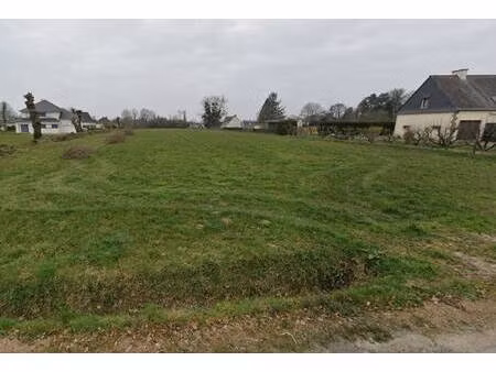 trecobois rennes