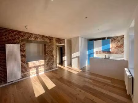 splendide duplex 2 chambres + terrasse