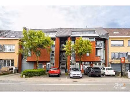 spacieux duplex lumineux avec terrasse et vue sur la verdure