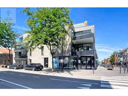 gelijkvloers appartement hartje landen