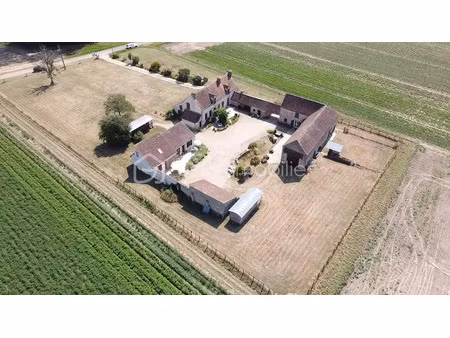 vente maison 8 pièces 240 m² à bonnée (45460)  530 000 €