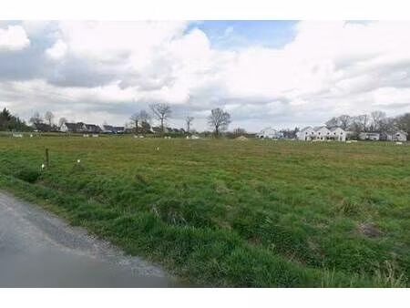 trecobois rennes