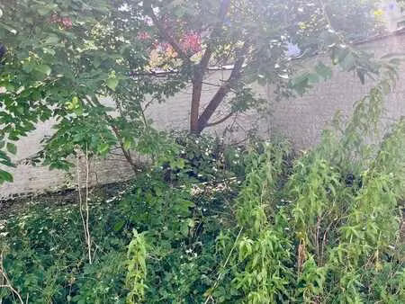 appartement avec jardin