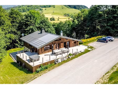 vente chalet 8 pièces 220.17 m² à habère-poche (74420)  1 150 000 €