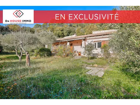 charmante maison de plain-pied au cœur d'un écrin de verdure  jardin planté d'oliviers - 3