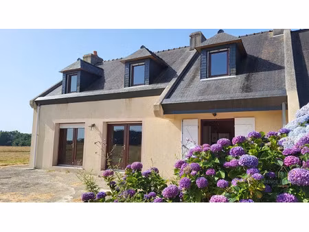 vente maison 8 pièces 134 m² à locmaria (56360)  715 800 €