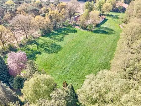 maison à vendre à meeuwen € 525.000 (lpkvg) - jansen real estate | zimmo