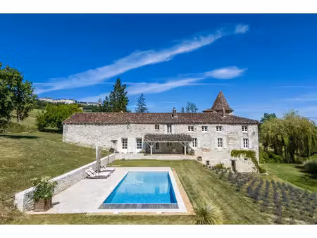 vente maison 7 pièces 350 m² à tournon-d'agenais (47370)  880 000 €