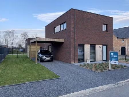 maison à louer à opitter € 1.100 (lpkuy) - beneca vastgoed | zimmo