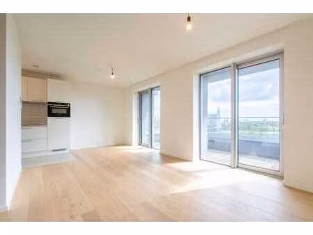 appartement 1 chambre convivial avec terrasse