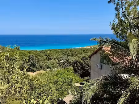 vente maison 8 pièces 199 m² à corbara (20220)  1 180 000 €