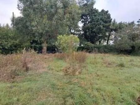vente terrain à angles (85750) : à vendre / 790m² angles