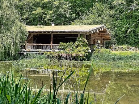 perigord chalet + etang