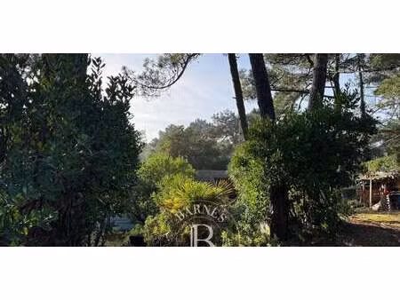 villa avec jardin lège-cap-ferret (33)