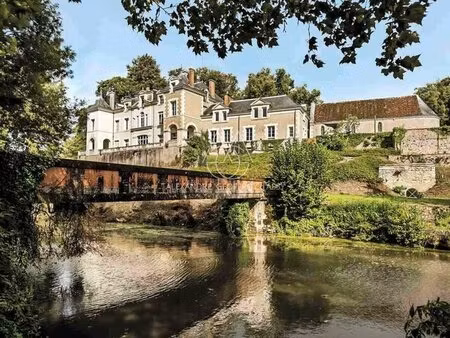 superbe château du xixe avec 1km de rivière  rénové à 10min de blois sur 22ha-possibilité.