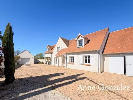 olivet sud  à vendre superbe maison familiale de plus de 200 m2 avec maison d'amis et...