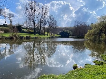 un écrin de nature rare  entre étang et ruisseau  en plein cœur d’elven et sans vis à vis