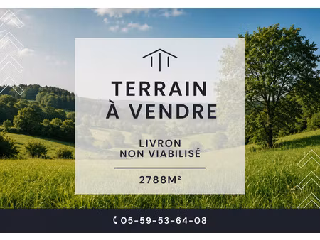 vente terrain 2788 m² soumoulou (64420)