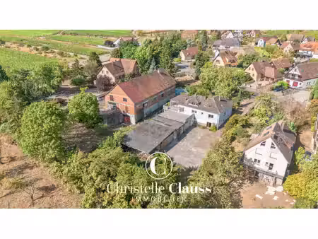vente maison 9 pièces 168 m² eichhoffen (67140)
