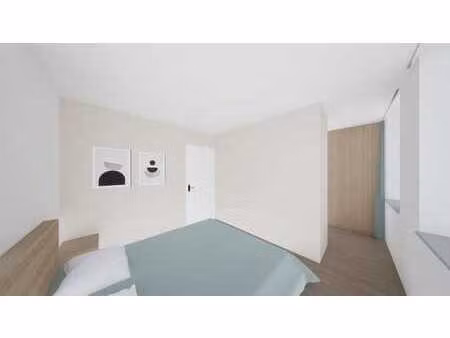 duplex 2 chambres + terrasse