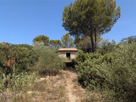 terrain de loisir de 3338m2 avec mazet en pierre