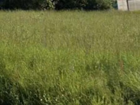 vente terrain à romorantin-lanthenay (41200) : à vendre / 784m² romorantin-lanthenay