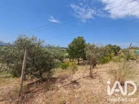 vente terrain à azille (11700) : à vendre / 4865m² azille