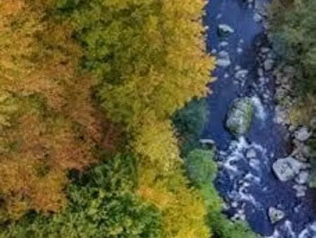 recherche à l'achat bois forêt avec source ou rivière proche