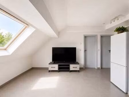 lumineux appartement 1 chambre