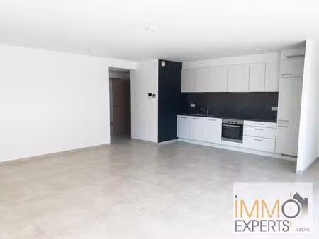 lumineux appartement 2 chambres avec terrasse