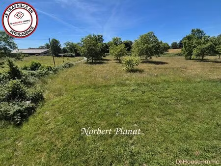 magnifique corps de ferme avec grandes dépendances à ceilloux sur un vaste jardin arboré.