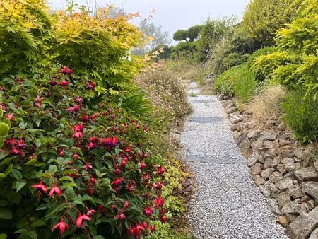 à seulement 5 km de barneville-carteret  charmante maison en pierre avec jardin arboré