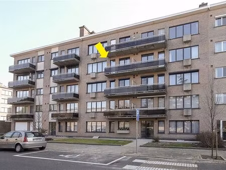 appartement à louer à borsbeek € 990 (etoak) - immo dyck | zimmo