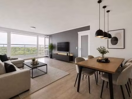 lumineux appartement 3 chambres et terrasse