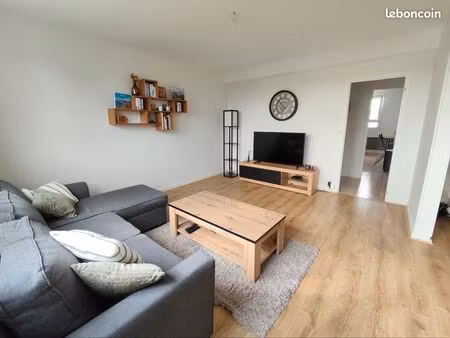 appartement t3 lumineux