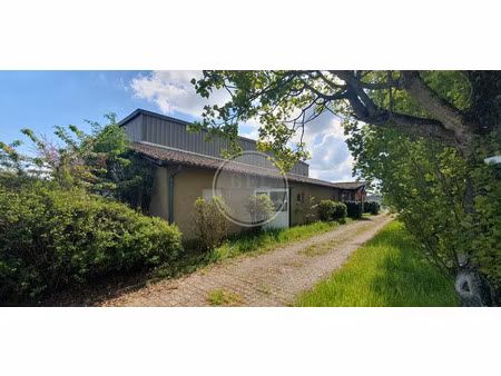 vente commerce 3100 m² saint-clément-les-places (69930)
