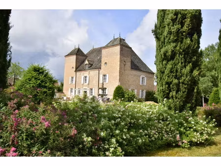 vente maison 8 pièces 400 m² chalon-sur-saône (71100)