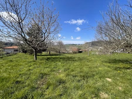 vente terrain 1244 m² cublize (69550)