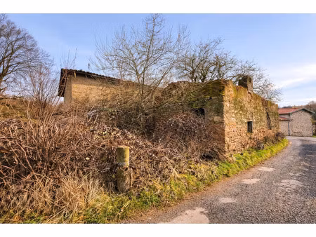 vente maison 4 pièces 100 m² sainte-foy-l’argentière (69610)