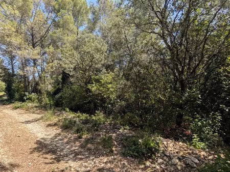 vente terrain 1933 m² à milhaud (30540)  15 000 €