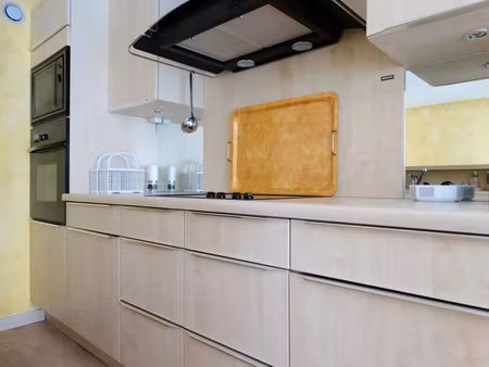 location appartement 1 pièce 40 m² à lyon 1 (69001)
