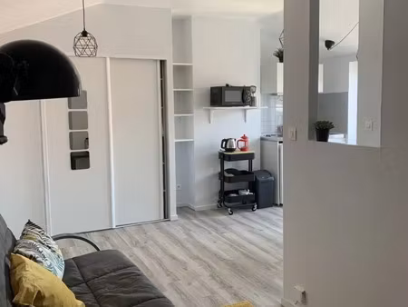 location appartement 1 pièce 23 m² à lyon 4 (69004)