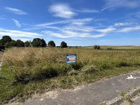 vente terrain 1000 m² à hazembourg (57430)  55 000 €