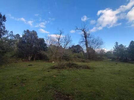 terrain 3000 m2 - quenza (alta rocca  corse-du-sud)